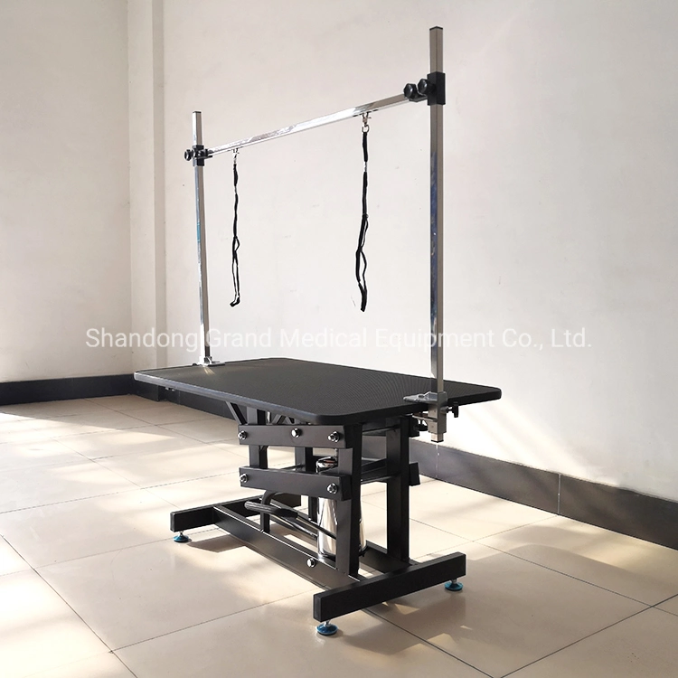 Hydraulic Pet Grooming Table Household Lifting Dog Grooming Table Pet Shop Beauty Table Double Arm